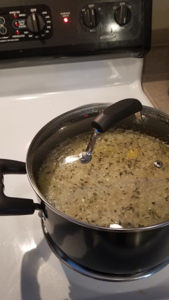 Cover and Bring to a Simmer